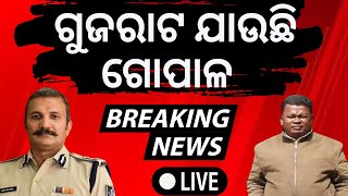 LIVE | Big News | ଗୋପାଳ ଯାଉଛି ଗୁଜରାଟ | Big Breaking News | Odisha Top News | Odia News