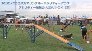 2010JKCヨコスカマリンブルーACアジリティー競技会AG3リトライ【凛】