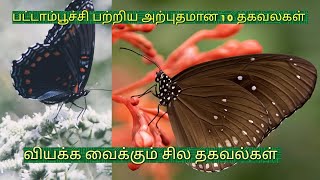 #பட்டாம்பூச்சி பற்றிய அற்புதமான தகவல்கள்,#pathivugal 10 part-4