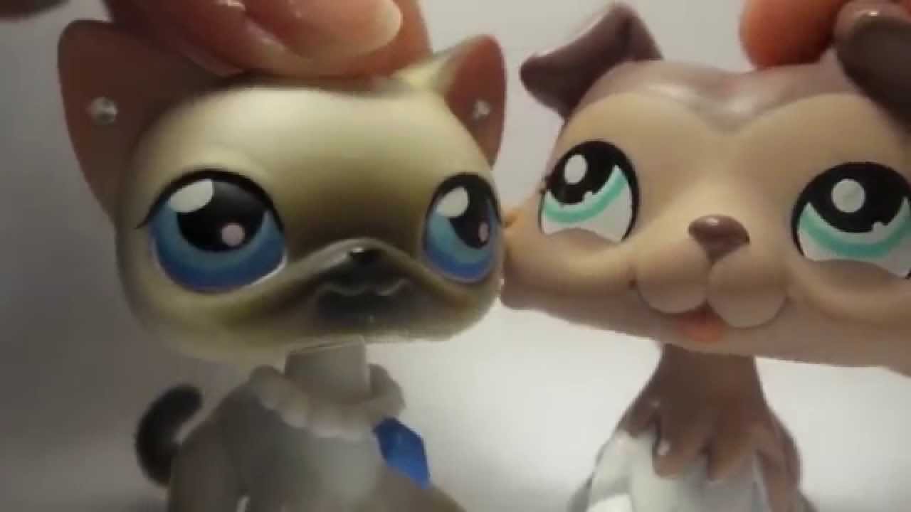 Lps Unboxing Ebay Package Youtube