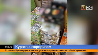 В Красноярске продается курага с криминальным сюрпризом