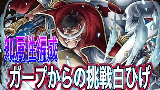 【トレクル】ガープからの挑戦白ひげ知属性編成【ONE PIECE】【OPTC】