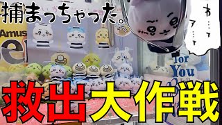 【ちいかわ】大人気！囚人指先パペット導入初日！！【コンプ目標】