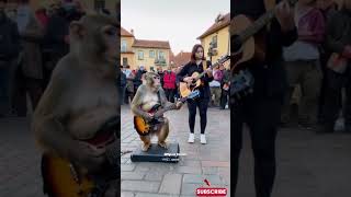 Viral Monyet Main Gitar di Alun Alun Russia Jutaan Penonton #empudstudioai #empudstudiogrup #shorts