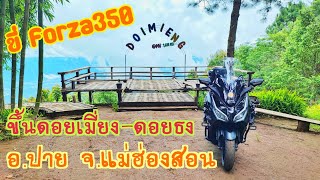 ขับ ForZa350  ขึ้นดอยเมี่ยง-ดอยธง อ.ปาย จ.แม่ฮ่องสอน l หนีเมียแอ่ว EP.1