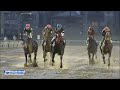 テレ玉杯オーバルスプリント 　ダ1400m 左 　ドライスタウト　牡4　54.0　戸崎圭太　2023.9.20　　出走馬：スマイルウィ、 オーロラテソーロ 、リコーシーウルフ、アポロビビ他