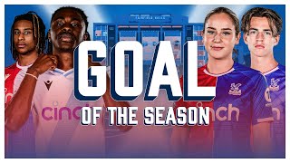 Crystal Palace Goal of the Season Contenders 23/24