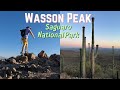 Wasson Peak Hike - Saguaro National Park | Tucson, Arizona