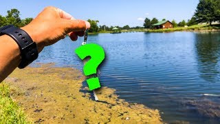 I Paid $20 For The Best Pond Fishing Lure Ever!!