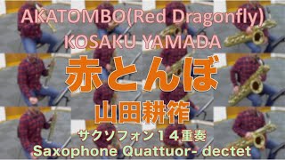 AKATOMBO(Red Dragonfly) / KOSAKU YAMADA　赤とんぼ（山田耕筰）