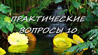 ПРАКТИЧЕСКИЕ ВОПРОСЫ 10