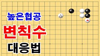 높은협공에서 변칙수를 써올경우 대응방법