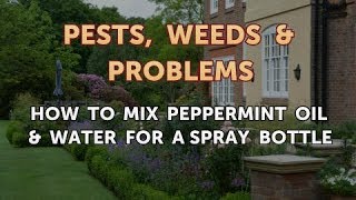 How to Mix Peppermint Oil \u0026 Water for a Spray Bottle