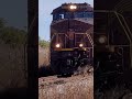 NS 8102 PENNSYLVANIA HERITAGE UNIT LEADS A STACK TRAIN! #shorts