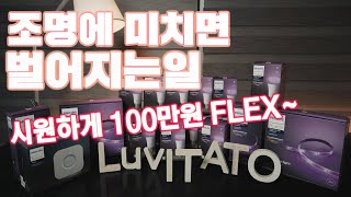 필립스 hue 에 100만원을 쓴 이유 ! 감성 넘치는 실내 조명을 만들어 봐요 !