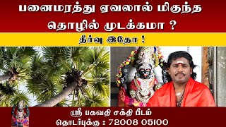 பனைமரத்து ஏவலால் மிகுந்த தொழில் முடக்கமா ?தீர்வு இதோ ! | Sri Bagavthi Beedam