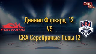 Динамо Форвард 12 - СКА Серебряные Львы 21, 15.01.2022