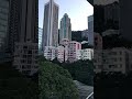 香港景色 《金鐘公園》 香港 香港景點 hongkong hongkongviews