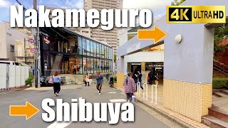 中目黒から渋谷まで From Nakameguro to Shibuya【Tokyo Backstreet Walk】 (4K)