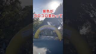 プチ世界旅行！リトルワールドマラソンに参加してきた！#shorts #マラソン #リトルワールド