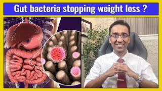 GUT BACTERIA - How to USE this to lose weight? | Dr Pal
