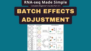Correct Batch Effects in RNA-seq: ComBat-seq, limma & MLM