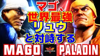 スト6✨マゴ [リュウ] Vs Paladin [リュウ] マゴ、世界最強のリュウと対峙する  | Mago [Ryu] Vs Paladin [Ryu]✨SF6