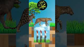 Musalmano Sambhal jao Ye Duniya jane wali Hai (Allah Se Daro) 🌹#trending #viralvideo #islamicvideo 🤲