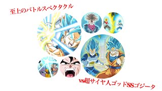 【ドッカンバトル】未来編(9周年以降のキャラなし)vsゴッドSSゴジータ　ショート戦いの軌跡017