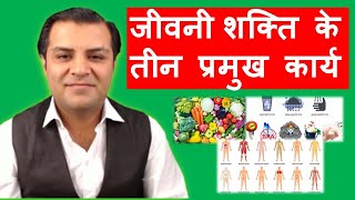 जीवनी शक्ति के तीन प्रमुख कार्य - 3 Important Functions of Vital Power (Vitality)