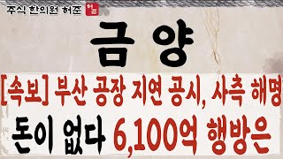 [금양] 부산 공장 지연 공시,  회사측의 해명, 꼭 확인하고 대응하셔야 합니다     #금양