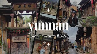 Yunnan 🇨🇳 pt.3 | Shaxi Ancient Town 沙溪古镇, Lijiang Old Town 丽江古城, Cafes, Tea, Wild Mushroom Hotpot