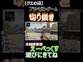 【本編は概要欄から】プラべのガンゲームが面白過ぎたｗ youtube 初見大歓迎 ゲーム実況 配信