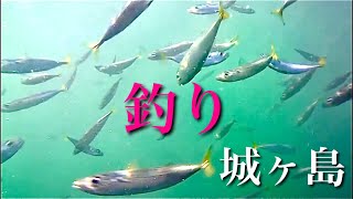 三崎港にちかい人気の釣り場、城ヶ島　その２　アクションカメラで海の中を探索