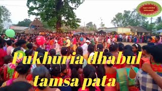 Pukhuria dhabul tamsa pata