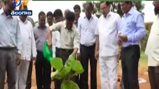 Singareni Begins Plans To Plant 1 Crore Plants In 3rd Phase Haritha Haram