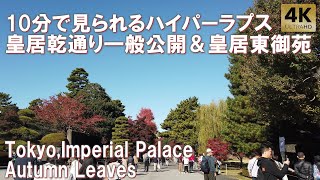 Tokyo,imperial palace. 10min Hyperlapse. Limited public access! Beautiful autumn leaves! 2024