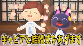 【あつ森】キャビアと結婚式を挙げることになりました。【あつまれどうぶつの森】