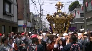 平成25年　田園調布・多摩川浅間神社神幸祭　本社神輿＝氏子渡御