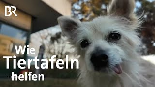 So helfen die Tiertafeln: Futterspenden für Haustiere | Hilfe bei hohen Kosten | Frankenschau | BR