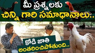 చిన్ని గారి interview part 7 #eskurifarms #poultry #farming