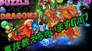 【パズドラ】知ってて損しない、パズドラの裏技！ガチ！