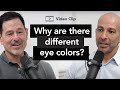 Why are there different eye colors? | Peter Attia, M.D. & Steven Dell, M.D.