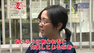 埼玉大会～それぞれの夏物語「支える」～2013夏の高校野球