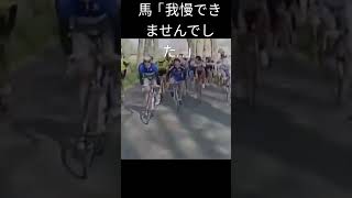 ツール・ド・フランスにて、馬が突然レースに参戦する映像。1990年に起こったことらしいです。＃馬　＃ツールドフランス