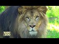 Binder Park Zoo | Battle Creek, Michigan | 0:30 TV Commercial