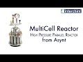 Asynt -  Multicell reactor - High Pressure Parallel Reactor