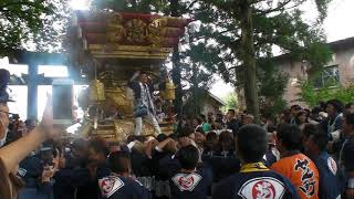 2019 三木の秋祭り 岩壺神社 本宮 （岩宮、大塚、芝町）