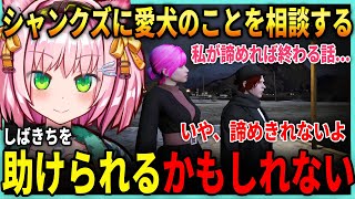 【前編】みにゃ、シャンクズに愛犬しばきちのことを相談する / ２人でジェットスキー【みにゃ/MinyaSeptember/ ストグラ切り抜き】