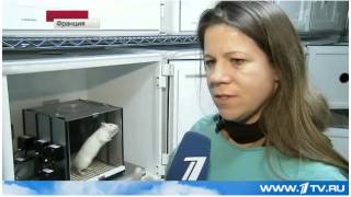 Panlab Harvard Apparatus Operant Boxes on Russian TV - alcohol dependent rats!